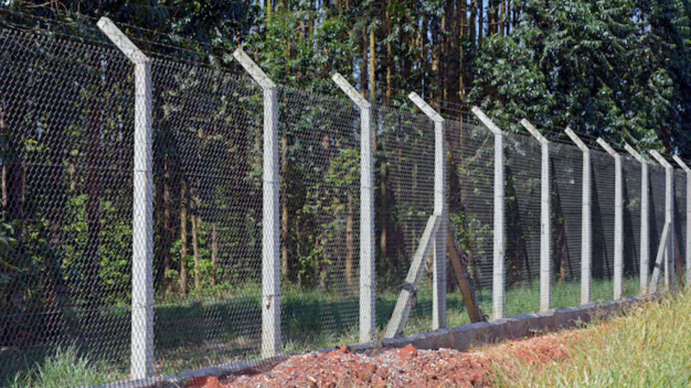 Top 5 Signs That It’s Time For New Fencing